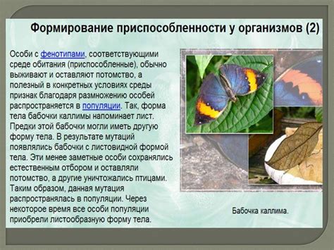 Адаптации дыхательной системы рыб к условиям окружающей среды