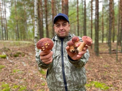 Безопасное употребление грибов в качестве пищи: рекомендации по предотвращению отравления