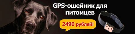 Гарантия качества и безопасности для вашего питомца