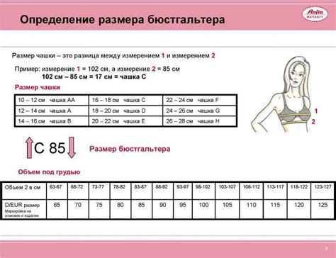 Помогает определить размеры и линейки