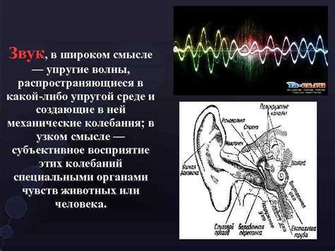 Применение звуковых диффузоров и рассеивателей