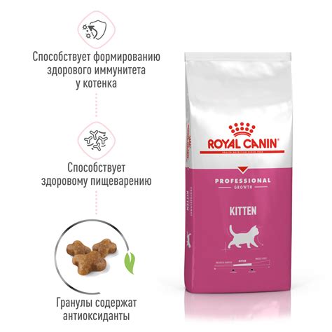Проблема подделки корма Royal Canin: задача, требующая немедленного решения