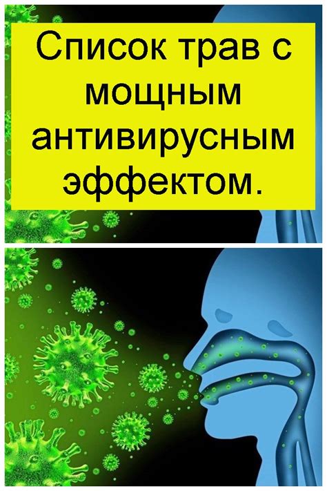 Проблемы с антивирусным ПО: справка и решения