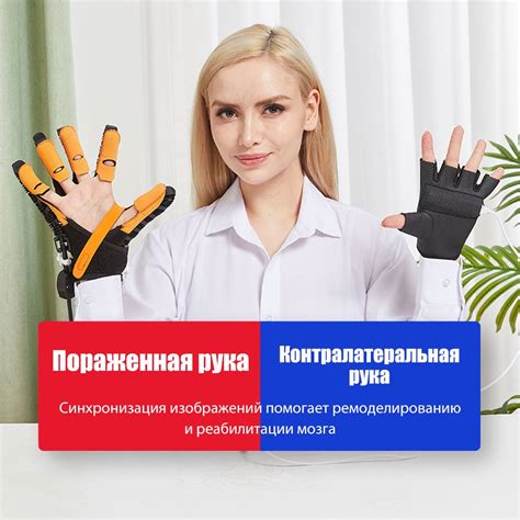 Реабилитационные меры для восстановления здоровья кошек с септическим нейтрофильным поражением