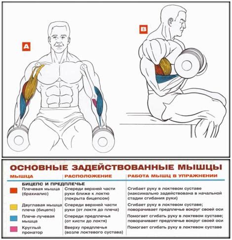 Секреты силы и приемы бицепса в соревнованиях по армрестлингу
