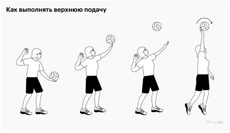 Спортсмены, известные своими промахами при выполнении второй подачи в волейболе