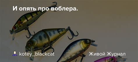 Уникальный дизайн и цветовые вариации воблера Цуеки Raider 125 SP