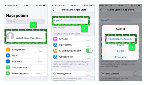 Установка Гет Контакт на iPhone 11: пошаговая инструкция