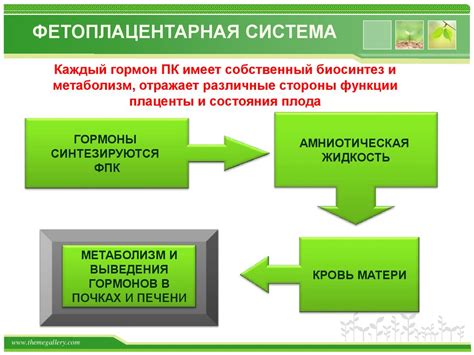 Физиологические изменения в женском организме, связанные с нормальным процессом старения