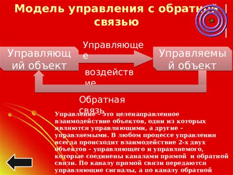 Эмоциональная связь и комфорт: Сигналы, которые передаются при прикосновении к животу