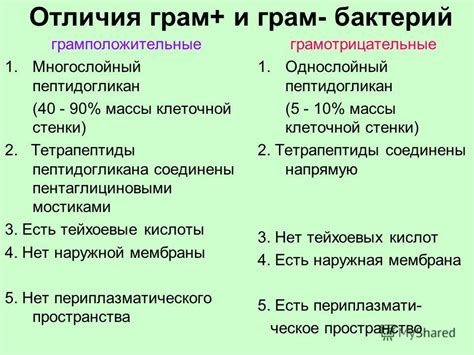  Особенности и отличия между Сорокоустом и бессонной псалтирью 