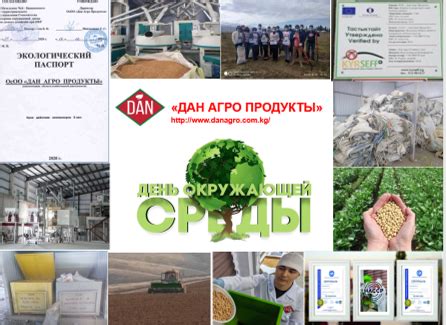  Проверка успешного изменения пищевой полезности 