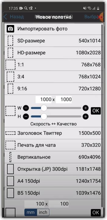  Установка загруженного шрифта в Ibis Paint: пошаговая инструкция 