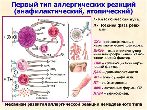 Аллергическая реакция на компоненты смеси