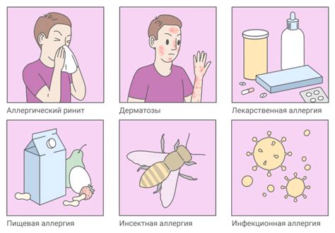 Аллергическая реакция на пыль и другие аллергены