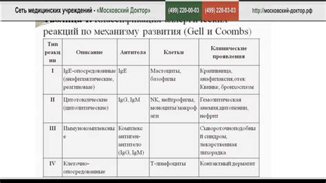 Аллергические реакции и шмыгание носа у собаки