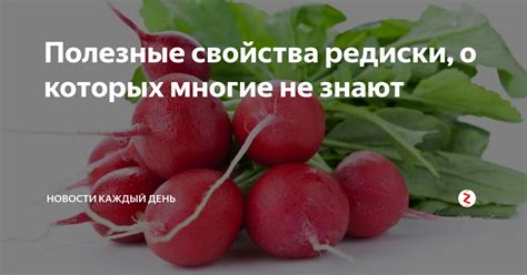 Антиоксидантные свойства редиски