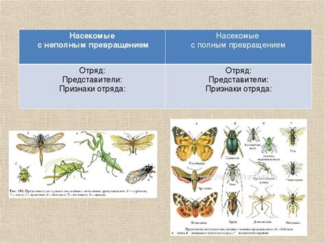 Биологический успех насекомых