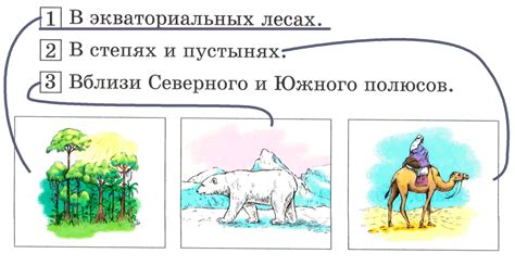Благоприятные условия для разведения животных