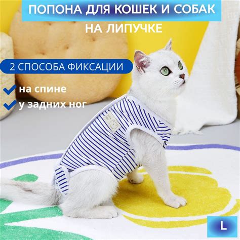 Важность антибиотиков для собак после стерилизации