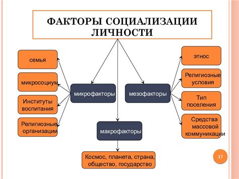 Важность применения методов социализации и контроля среди птиц