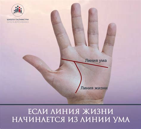 Варианты, когда линия ума и линия жизни могут соединяться