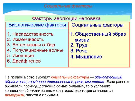 Взаимодействие полов и роль биологических особенностей в формировании предпочтений