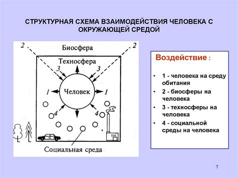 Взаимодействие человека и бурого ушана: возможные решения