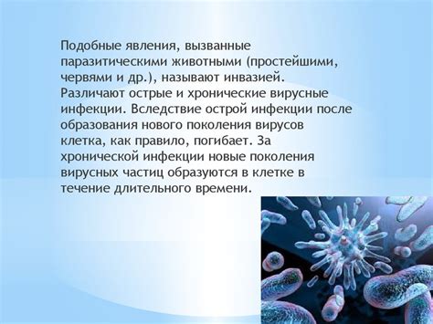 Вирусы и их роль в возникновении пустых папок