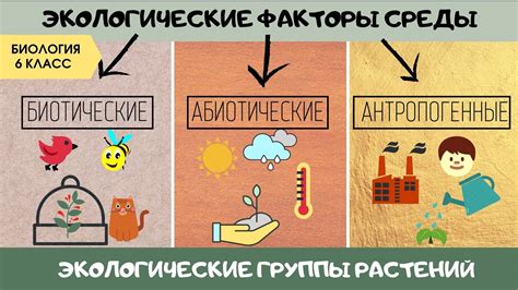 Влияние внешней среды на состояние розетки