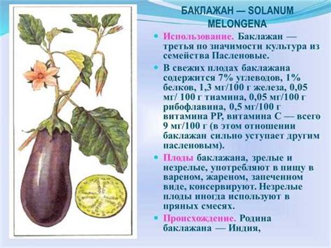 Влияние генетики на длину лап котят