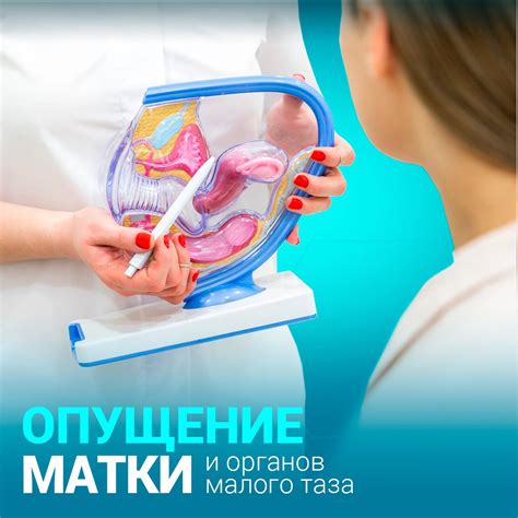 Влияние гормонального фона на пол ребенка