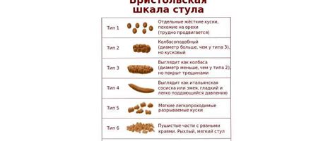 Влияние гормональных изменений на потребление жидкости у сук