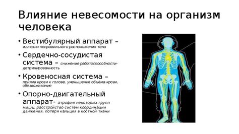 Влияние гравитации на движение поросенка