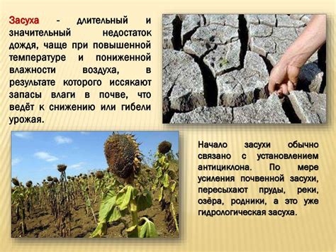 Влияние климата на экстерьер людей