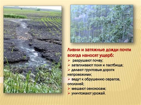 Влияние климатических условий на различия в пигментации