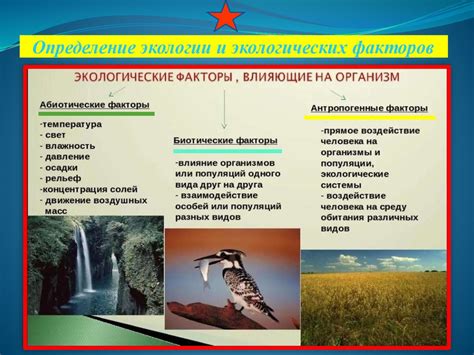 Влияние на окраску мидий: ключевые факторы