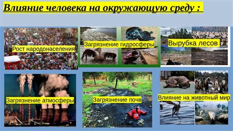 Влияние на окружающую среду и биоразнообразие