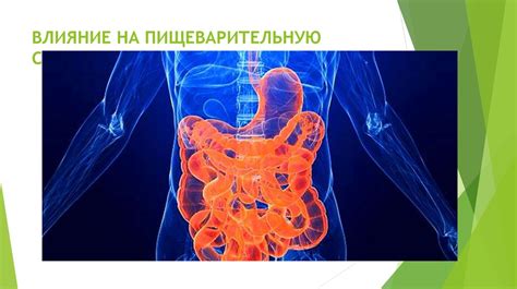 Влияние невесомости на пищеварительную систему