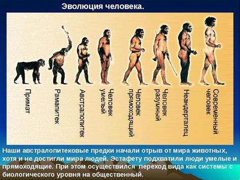 Влияние огня на развитие человечества