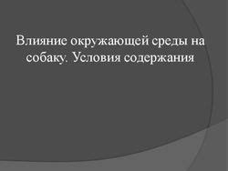 Влияние окружающей среды на воющее поведение собаки