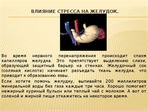 Влияние пищи на образование слизи