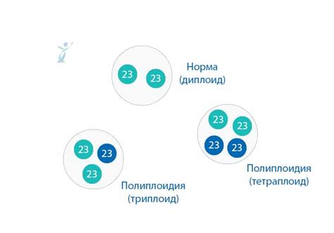 Влияние полиплоидии на флористическое разнообразие