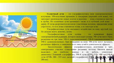 Влияние прямых солнечных лучей на аквариум