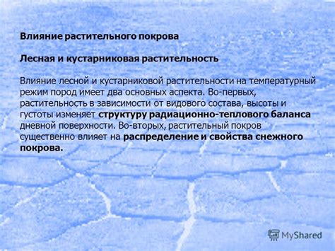 Влияние растительного покрова на конденсацию