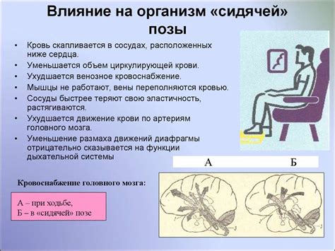 Влияние сидильной позы