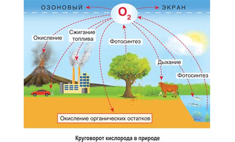 Влияние содержания веществ на горечь шелухи