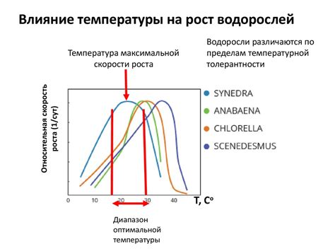 Влияние температуры на цветовые пигменты