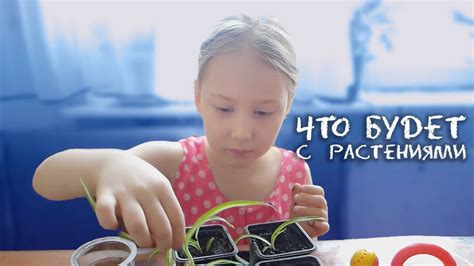 Влияние уровня освещенности на расцветку помета