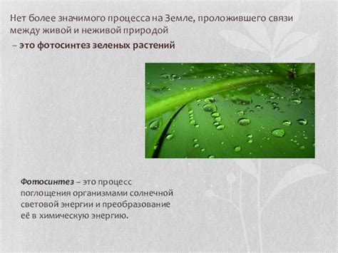 Влияние условий окружающей среды на процесс сушки